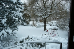 k-Garten-Winter 2010 (6)