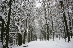 k-Südweg Winter 2010 (14)